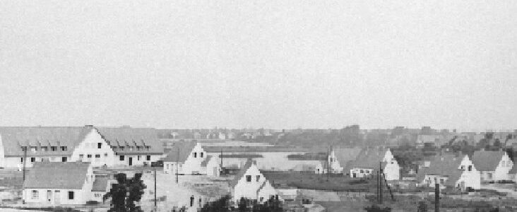 Gebiet am Tremser Teich in den 50er Jahren